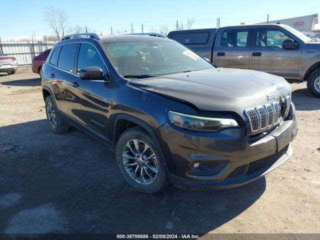 jeep cherokee 2019 1c4pjllb9kd151554