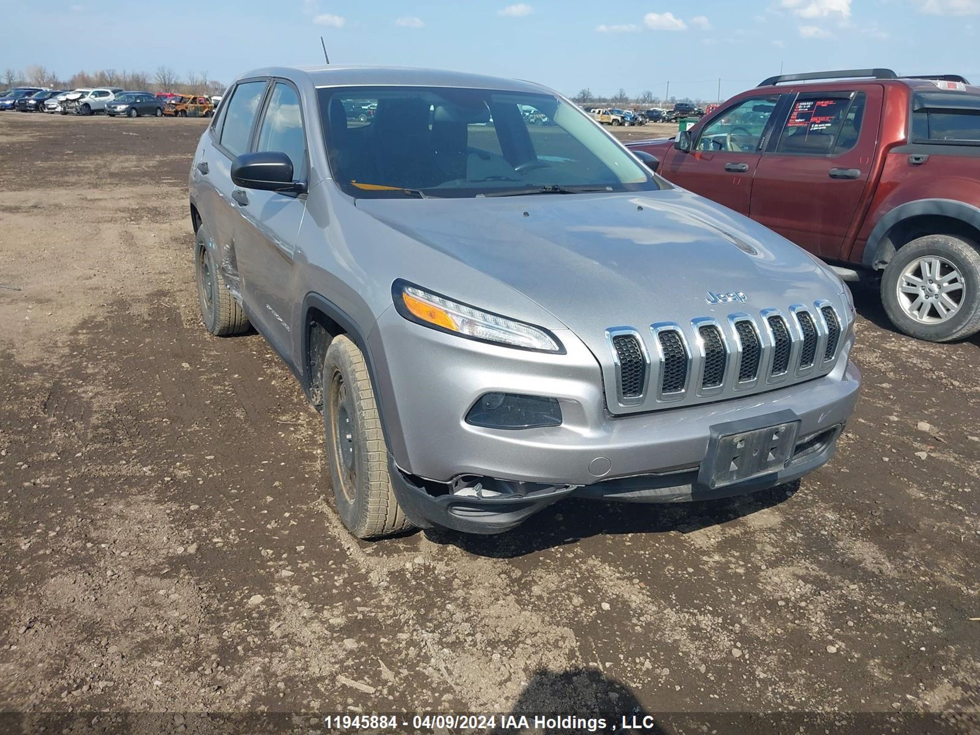 jeep cherokee 2014 1c4pjmab6ew316591