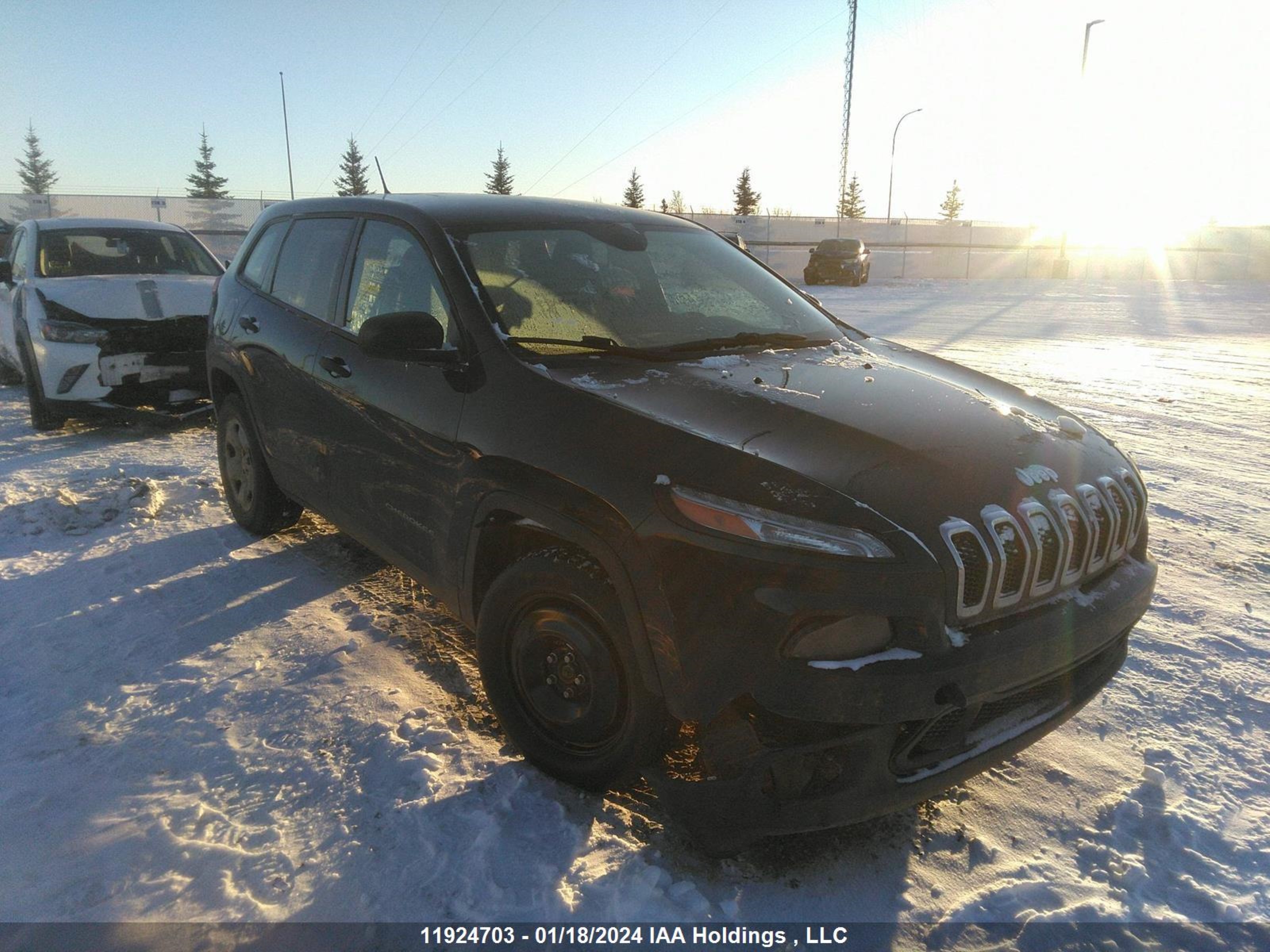 jeep cherokee 2014 1c4pjmab8ew203029