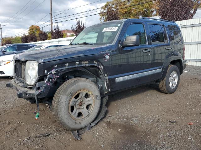 jeep liberty sp 2012 1c4pjmak6cw104562