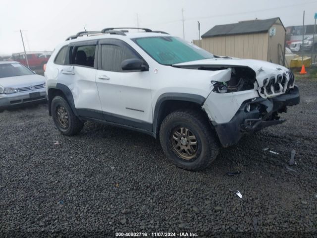 jeep cherokee 2017 1c4pjmbs2hd225011