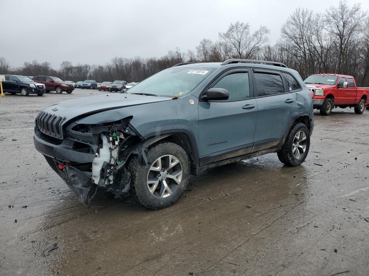 jeep cherokee 2014 1c4pjmbsxew309075