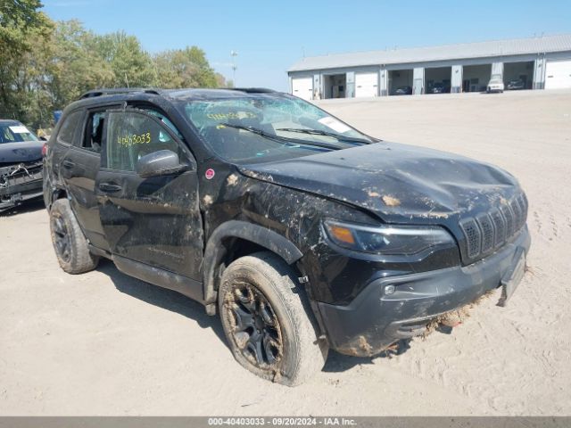 jeep cherokee 2019 1c4pjmbx0kd420723