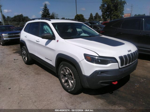 jeep cherokee 2020 1c4pjmbx0ld564001