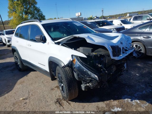 jeep cherokee 2020 1c4pjmbx0ld572454