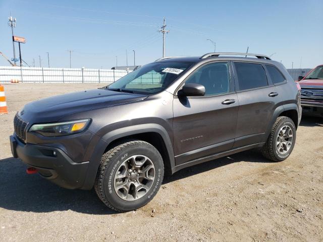 jeep cherokee t 2020 1c4pjmbx1ld572186