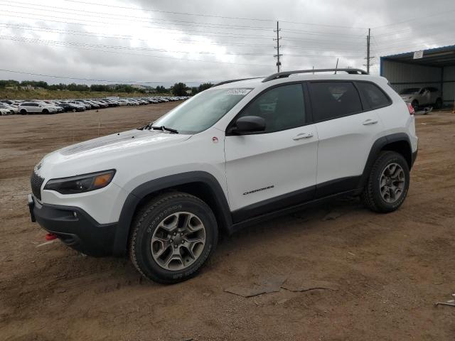 jeep cherokee t 2020 1c4pjmbx4ld565927