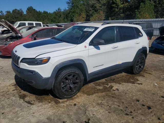 jeep cherokee t 2020 1c4pjmbx4ld613782