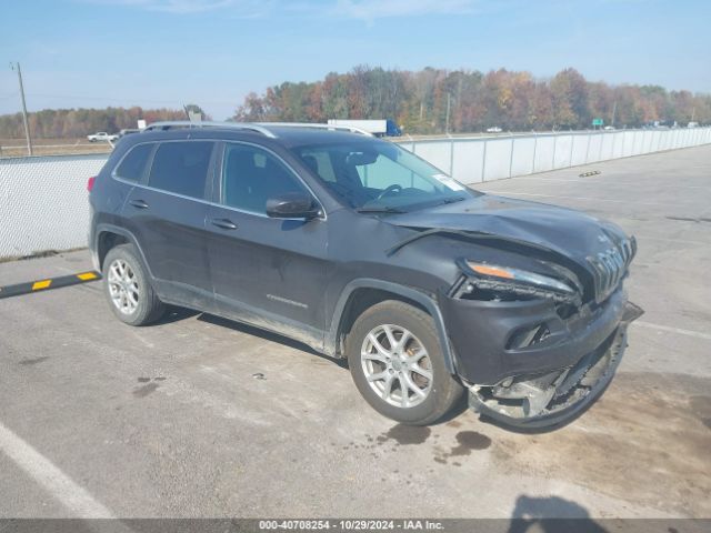 jeep cherokee 2016 1c4pjmcb0gw164243