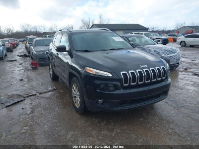 jeep cherokee 2016 1c4pjmcb4gw215985