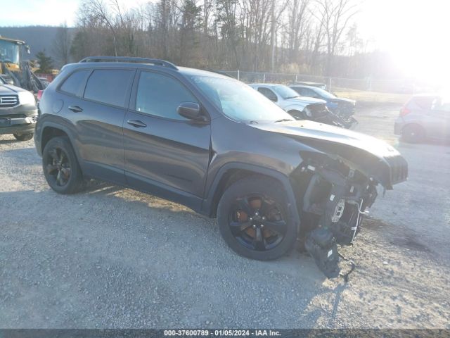 jeep cherokee 2016 1c4pjmcb4gw218577