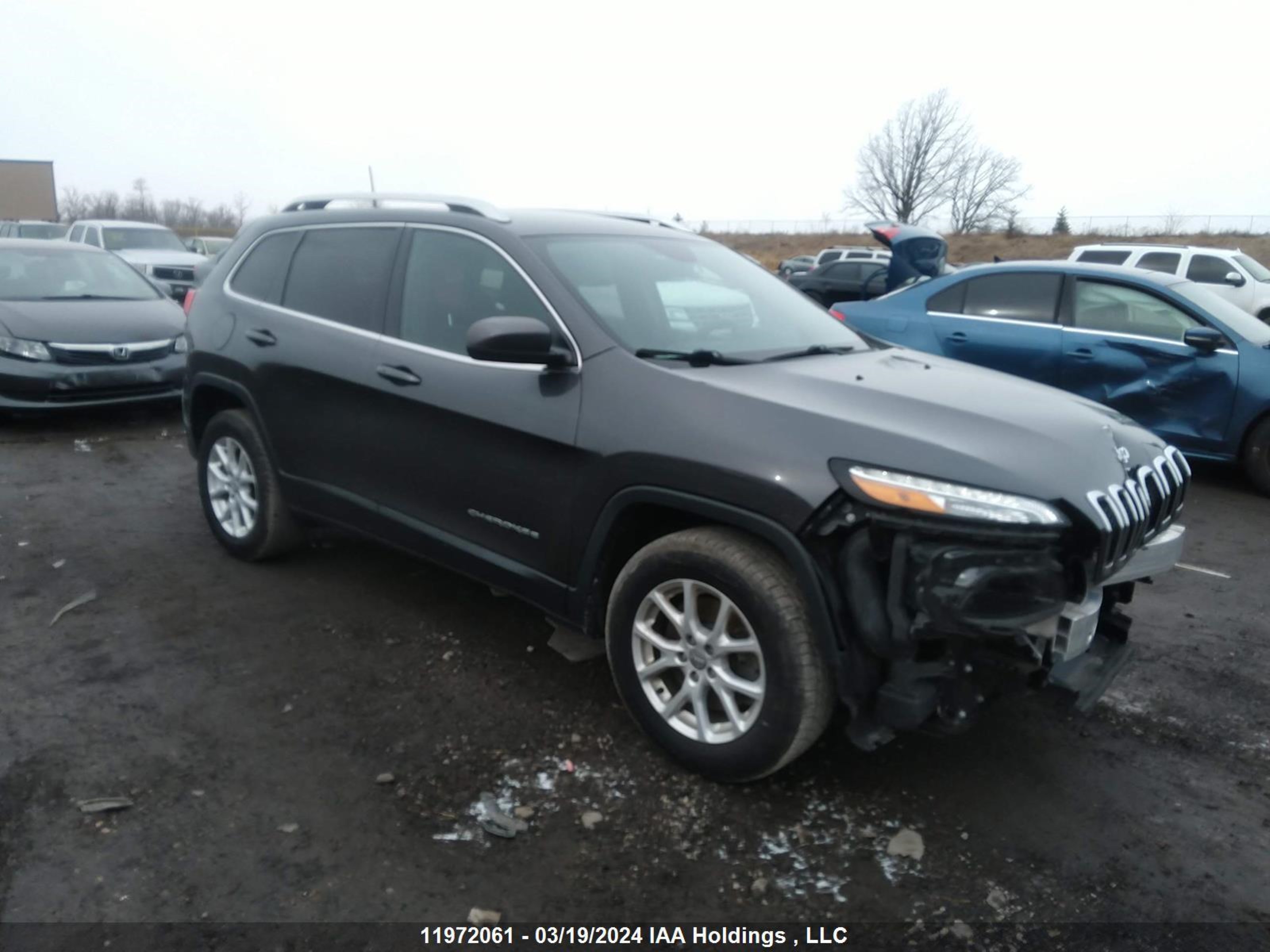 jeep cherokee 2016 1c4pjmcs2gw231439