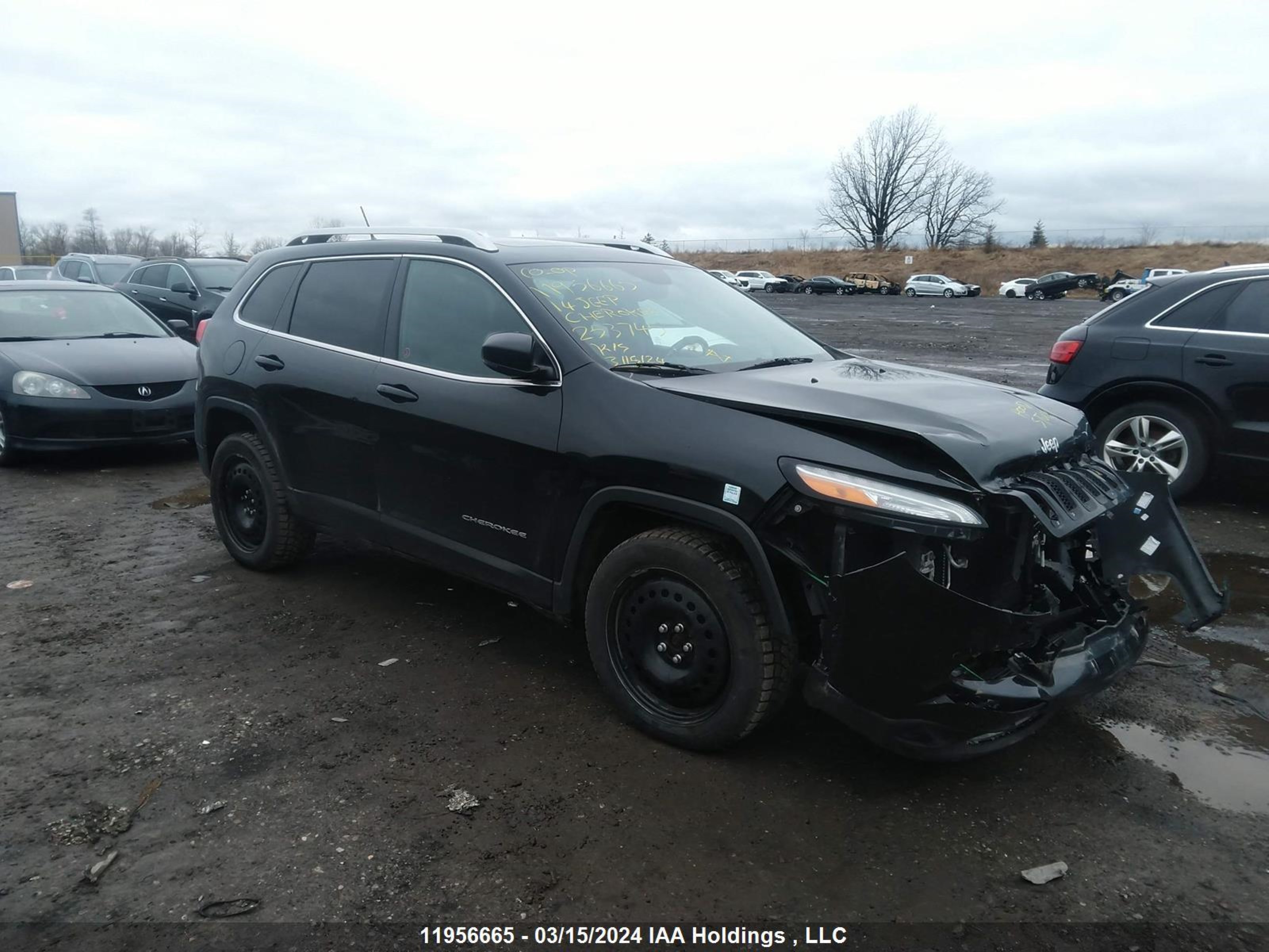 jeep cherokee 2014 1c4pjmdb4ew253745