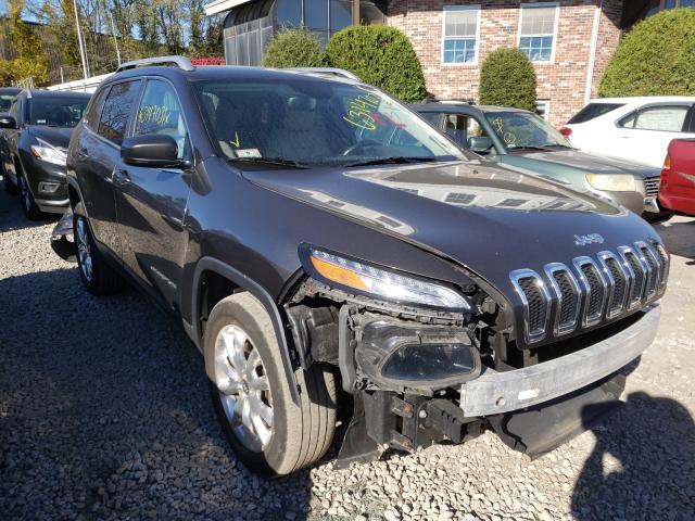 jeep  2015 1c4pjmdbxfw593080