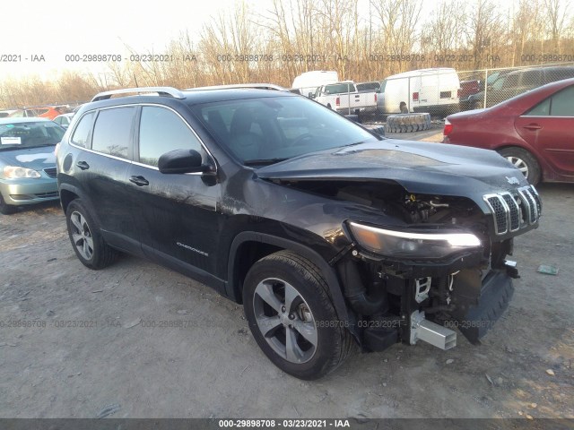 jeep cherokee 2019 1c4pjmdn4kd116256