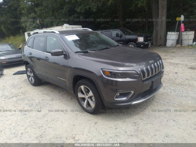 jeep cherokee 2021 1c4pjmdn6md162299