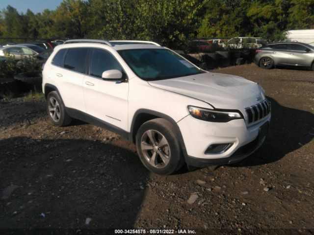 jeep cherokee 2019 1c4pjmdx0kd480756