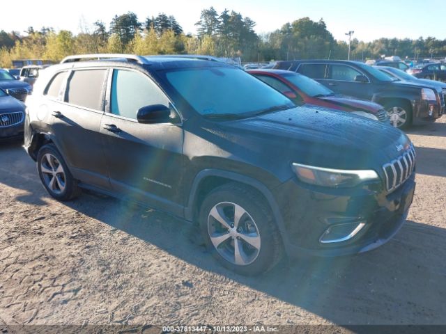 jeep cherokee 2019 1c4pjmdx2kd133395