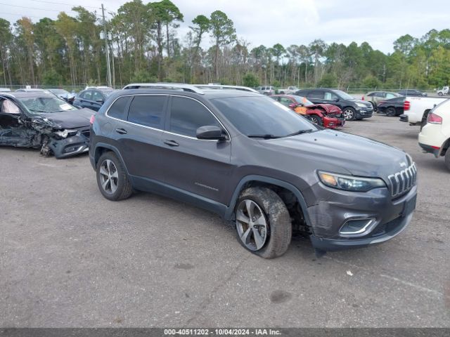 jeep cherokee 2019 1c4pjmdx2kd238664