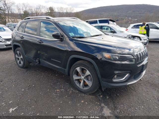 jeep cherokee 2019 1c4pjmdx4kd155401