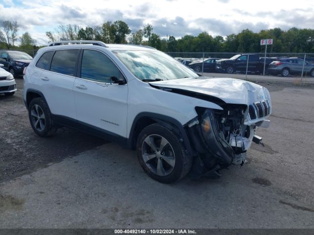 jeep cherokee 2019 1c4pjmdx6kd218207