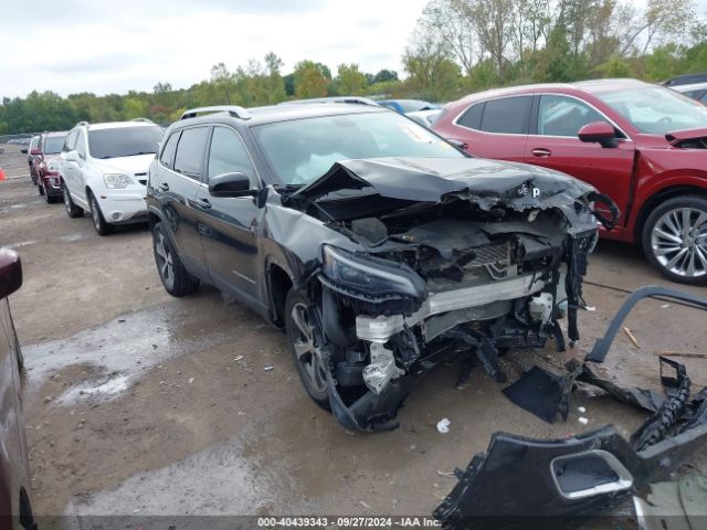 jeep cherokee 2019 1c4pjmdx7kd394330