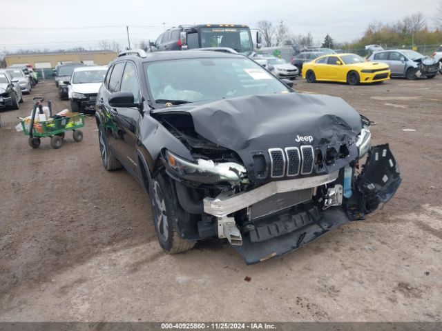 jeep cherokee 2019 1c4pjmdx8kd394840