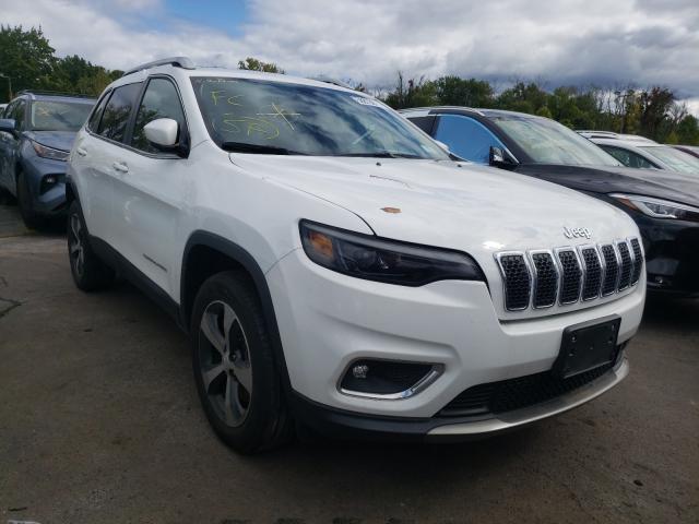 jeep  2019 1c4pjmdx8kd408896