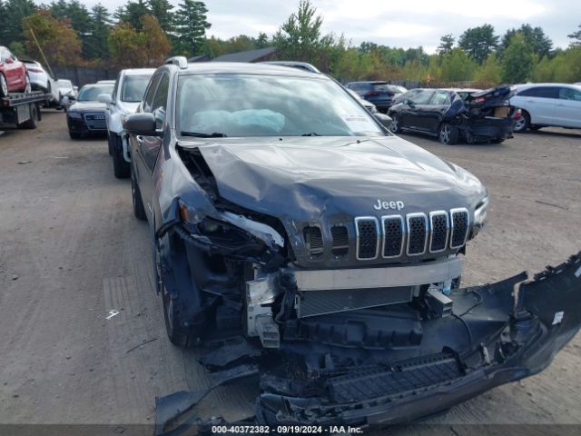 jeep cherokee 2019 1c4pjmdx8kd445740