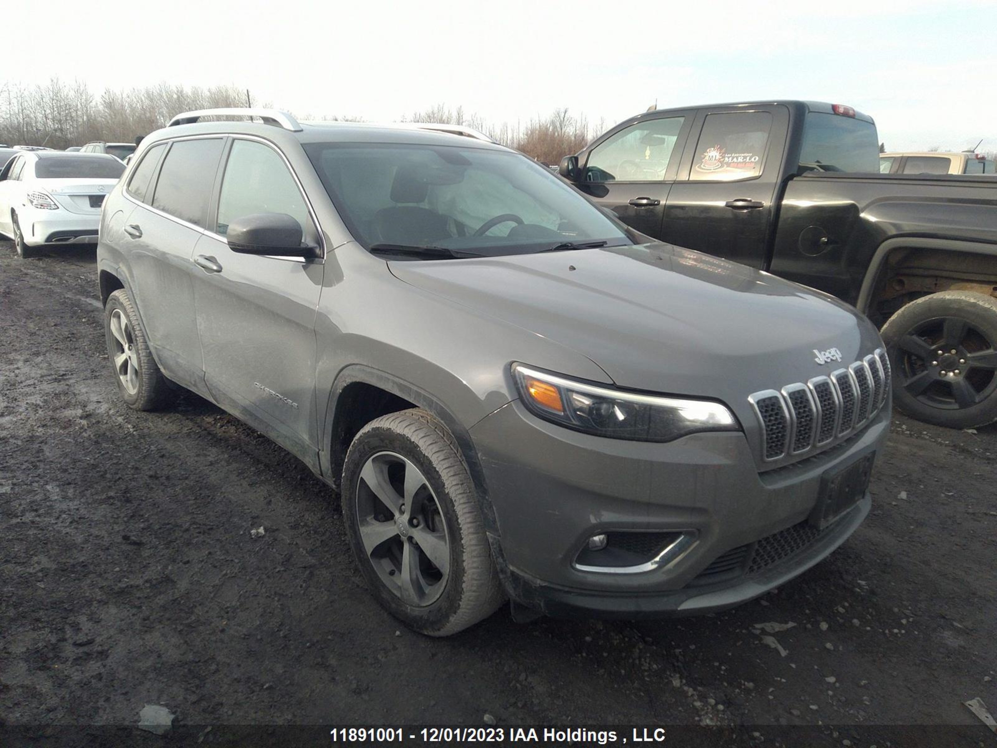 jeep cherokee 2020 1c4pjmdx8ld571730