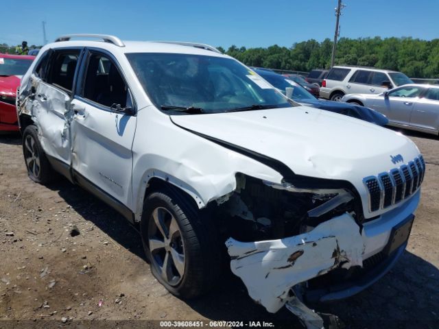 jeep cherokee 2019 1c4pjmdx9kd167205