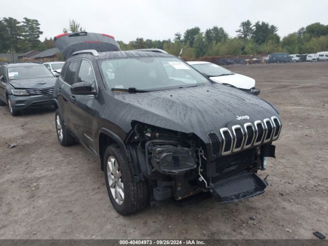 jeep cherokee 2016 1c4pjmjs2gw321418