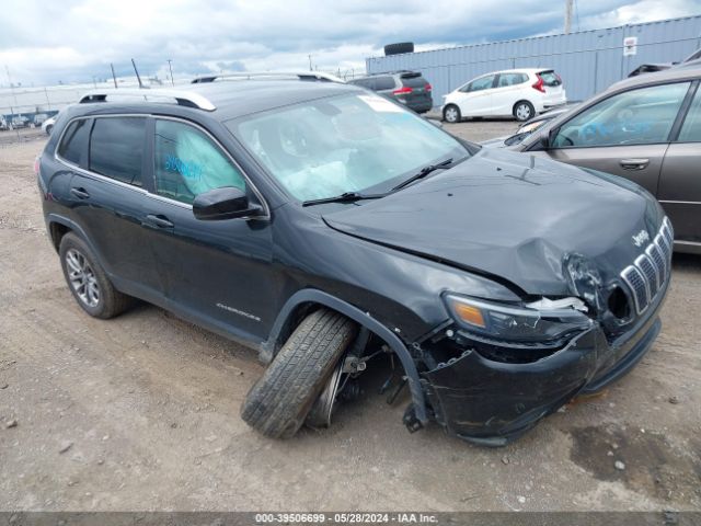 jeep cherokee 2019 1c4pjmlb0kd412849