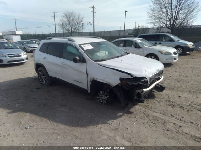 jeep cherokee 2019 1c4pjmlb1kd181847