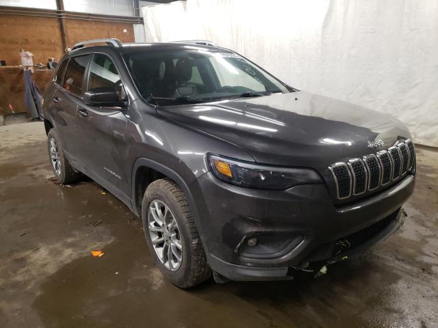 jeep cherokee l 2019 1c4pjmlb1kd424797