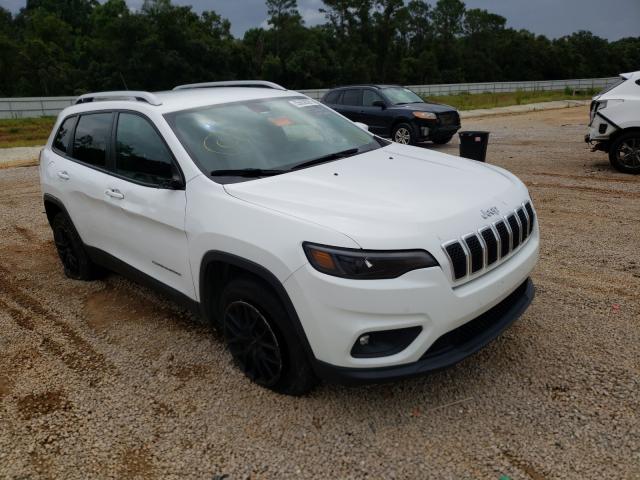 jeep  2019 1c4pjmlb2kd199287