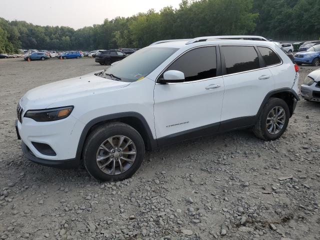 jeep cherokee l 2019 1c4pjmlb2kd404560