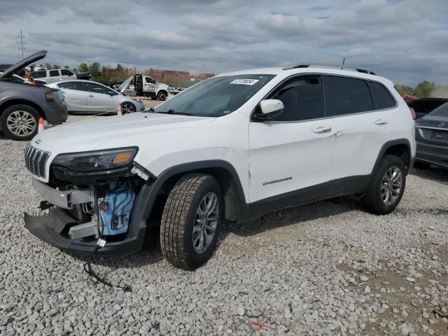 jeep cherokee l 2019 1c4pjmlb3kd237304