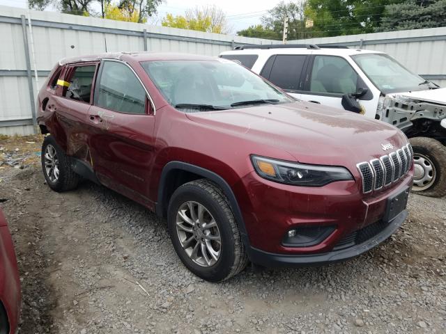 jeep cherokee l 2019 1c4pjmlb3kd268486