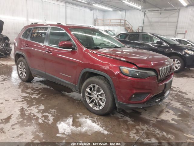 jeep cherokee 2019 1c4pjmlb3kd337256