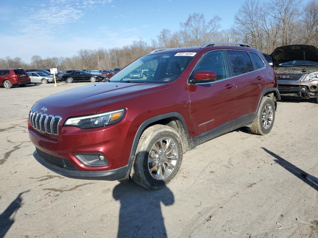 jeep grand cherokee 2019 1c4pjmlb3kd355854