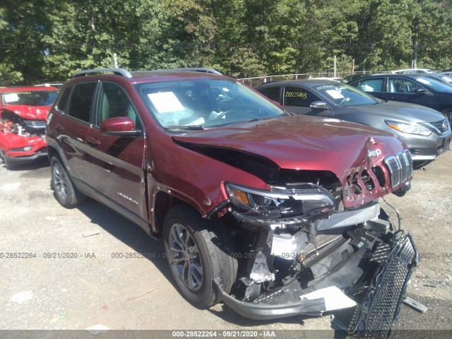 jeep cherokee 2019 1c4pjmlb3kd443285