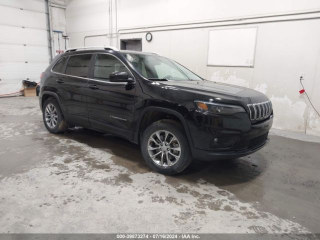 jeep cherokee 2019 1c4pjmlb4kd194706