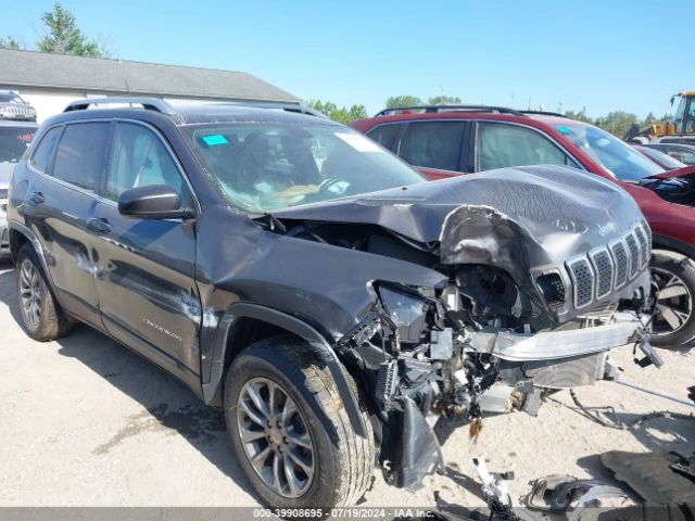 jeep cherokee 2019 1c4pjmlb4kd389432