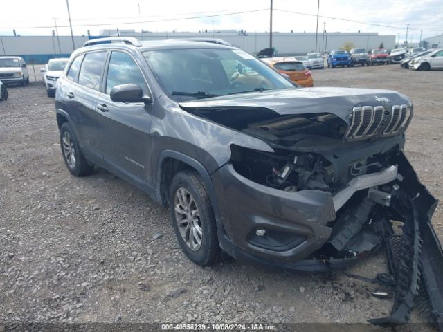 jeep cherokee 2019 1c4pjmlb5kd237997