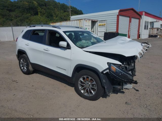 jeep cherokee 2019 1c4pjmlb9kd168795