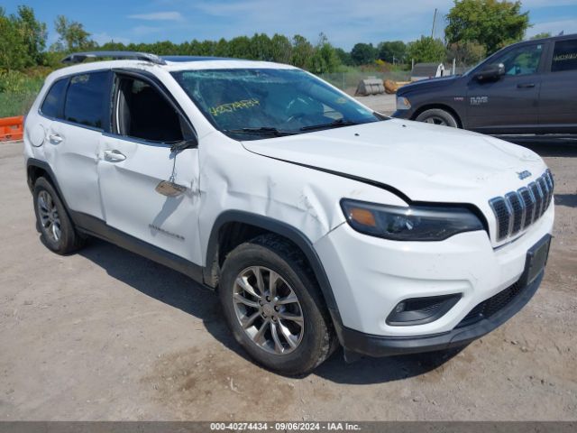 jeep cherokee 2019 1c4pjmlb9kd174791