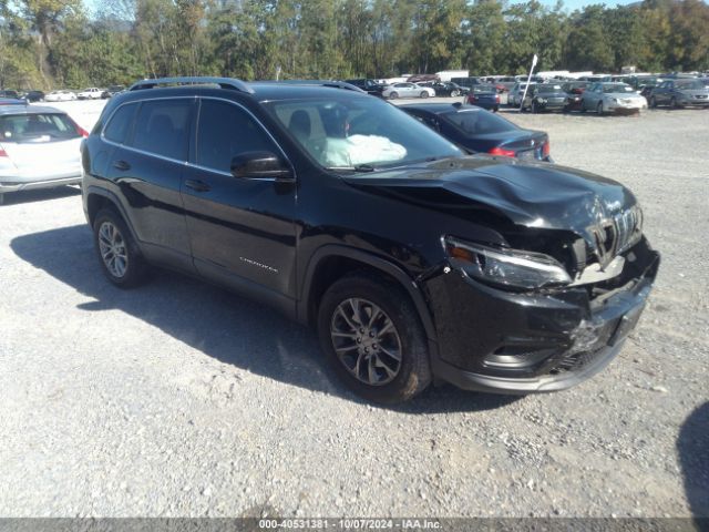 jeep cherokee 2019 1c4pjmlbxkd195049