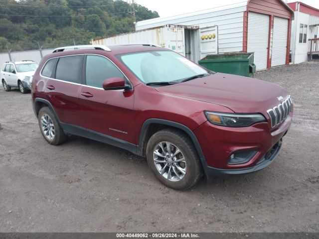 jeep cherokee 2019 1c4pjmlbxkd355480