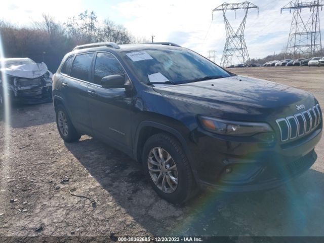 jeep cherokee 2019 1c4pjmln4kd116372